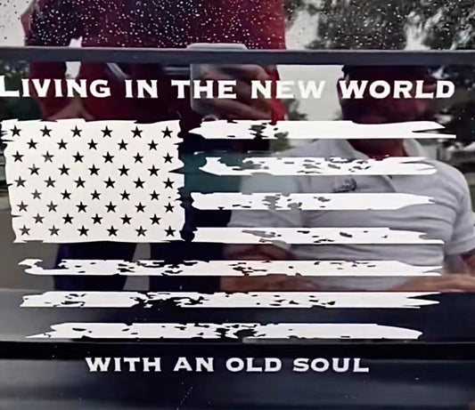 Living In The New World With An Old Soul decal